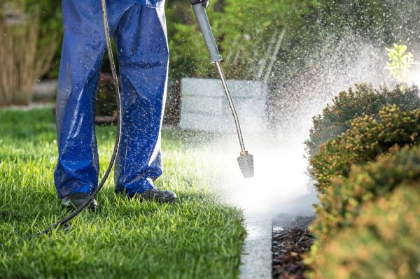 Curb Cleaning in Santa Rosa