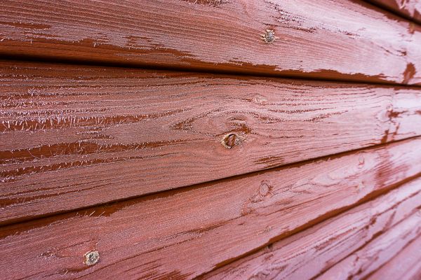 Cedar Siding Cleaning in Santa Rosa