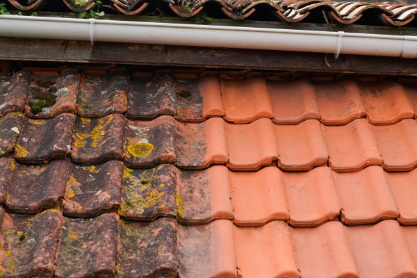 Industrial Roof Cleaning in Santa Rosa